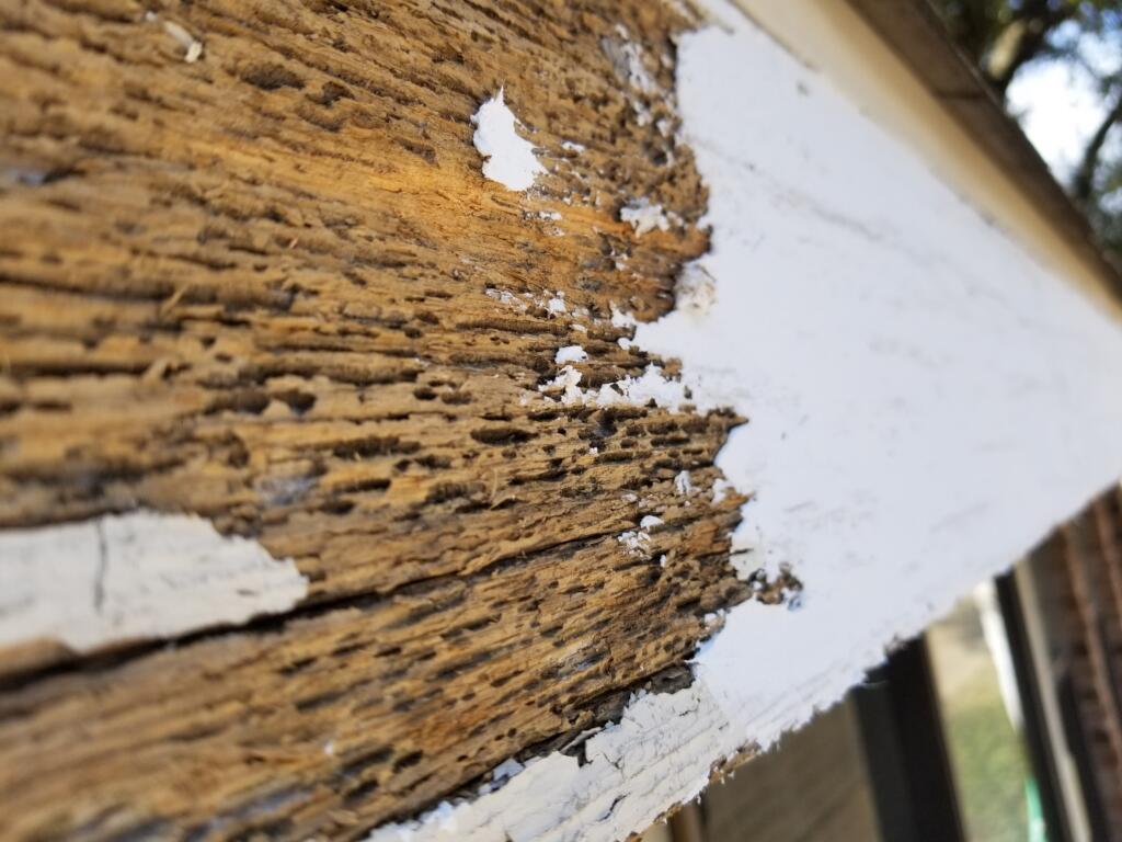 Paint Repair Services Dallas TX
